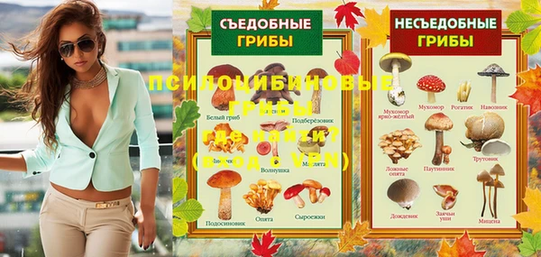 бошки Пролетарск