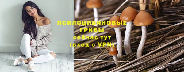 первитин Протвино