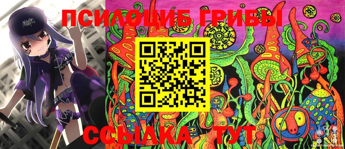 Псилоцибиновые грибы Cubensis  Сорочинск 