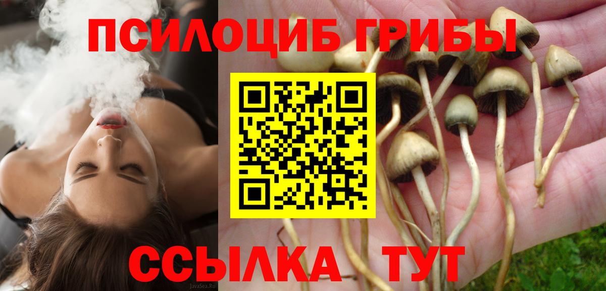 Сорочинск  где найти наркотики  Вход с VPN  Галлюциногенные грибы мицелий 